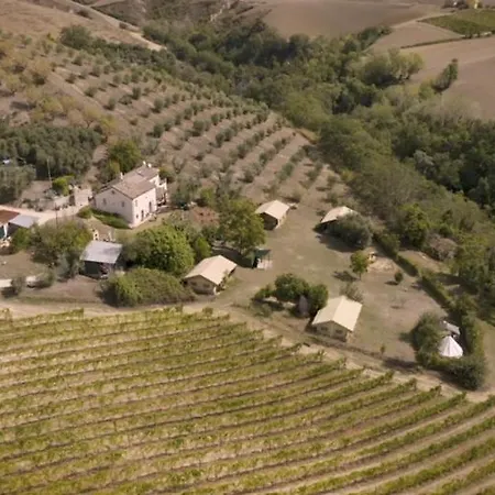 Angeli Sognanti
