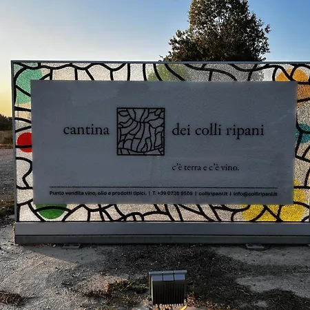 Angeli Sognanti
